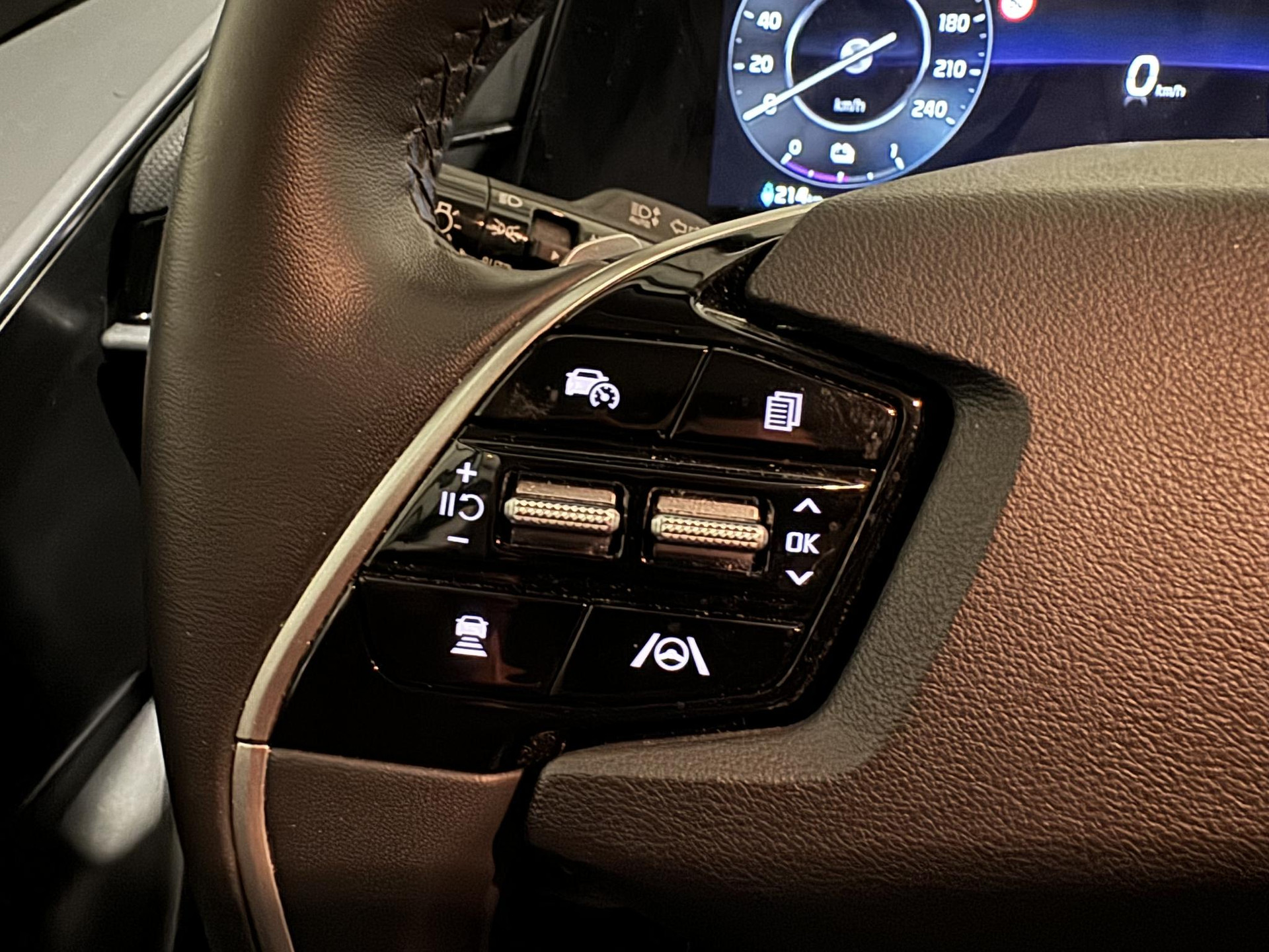 Kia Niro EV DynamicLine 64.8 kWh R227NR