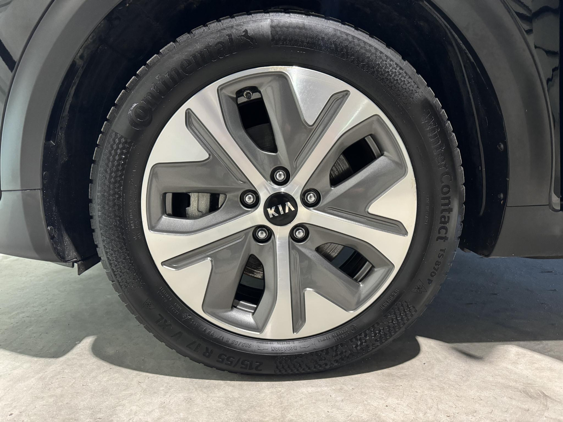 Kia e-Niro ExecutiveLine 64 kWh K618FS